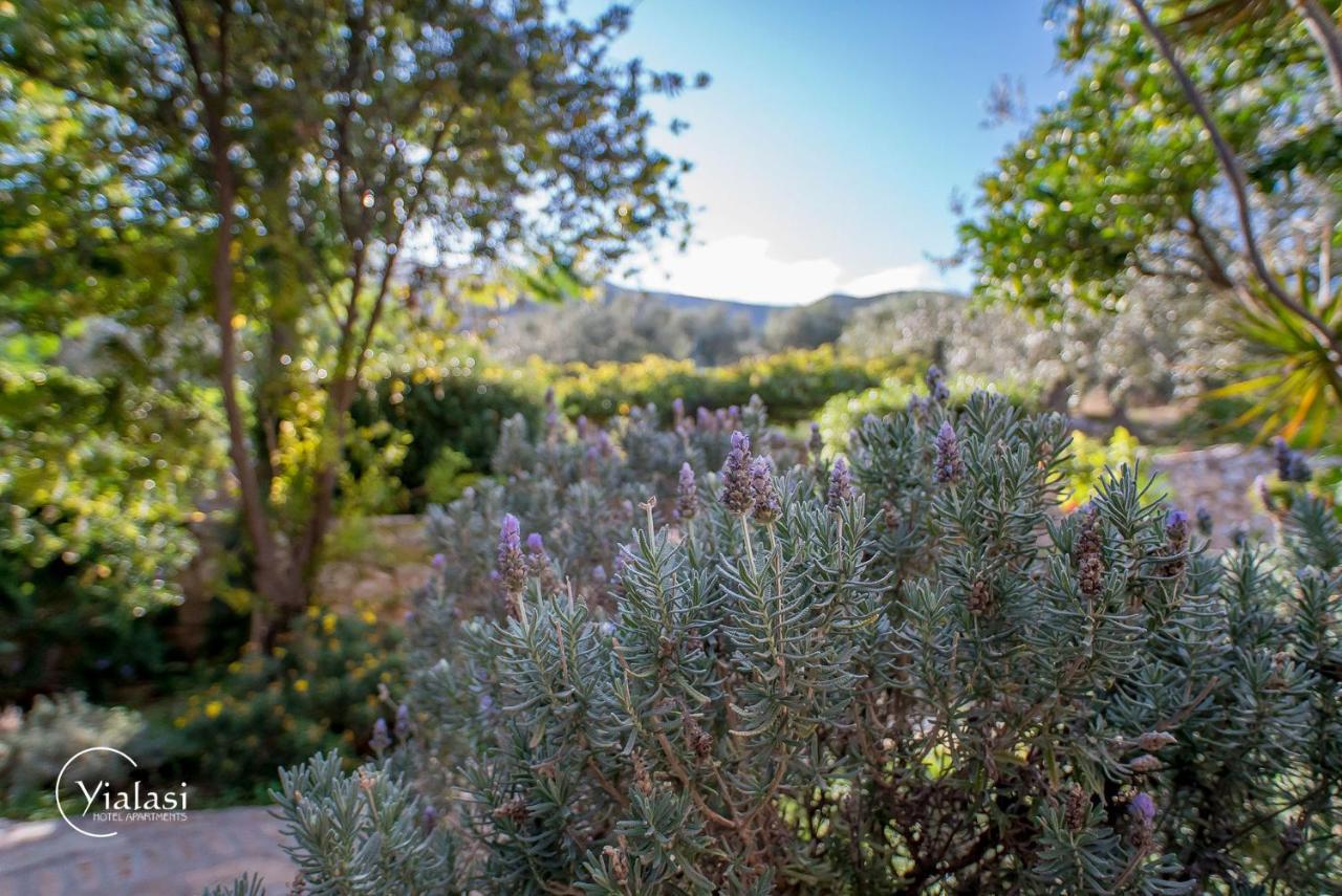 Yialasi Hotel Epidaurus Dış mekan fotoğraf
